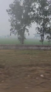 #Haryana green fields engulfed by dense #fog, sun seen nowhere.....!! | The Kashmir horticulture