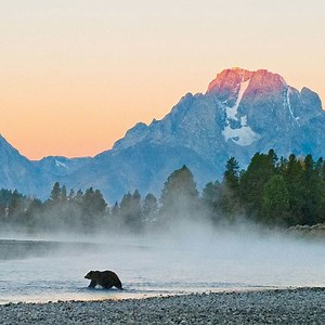 280 reactions · 51 shares | Class Sale! If you have a passion for outdoor photography and want to capture the spirit of wildlife in your camera, join Tom Mangelsen for this inspiring and educational class. | CreativeLive | Facebook