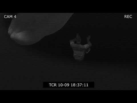 Giantess Crush Animation - Feet & Butt - Realistic Animation