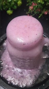 🥤 நாவல் பழம் Fuljar Soda | Refreshing Summer Special 💜 #NavalPalam #JamunSoda#blackjamun