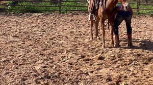 167 reactions · 37 comments | JACKIE wanted to letbsome issues pop up...