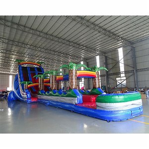 [Hot Item] High Quality Commercial Backyard Giant Big Inflatable Waterslide Water Pools Slide for Adults