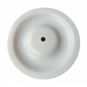 [Hot Item] Factory Price Pump Repair Parts PTFE Diaphragm Kit for Yamada Diaphragm Pump
