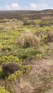 1.1K views · 44 reactions | It’s not just waders that are hatching,...