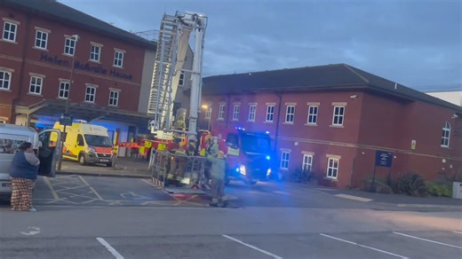 Tyne and Wear Fire and Rescue Service @tyne and wear The first chick was lower than the second one so they had to manoeuvre twice | Pawz for Thought