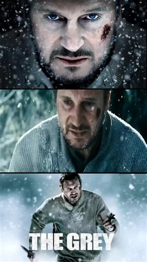 The Grey Film Review: Liam Neeson's Survival Against Wolves