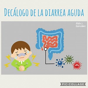 Decálogo de la Diarrea Aguda