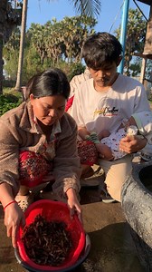 REACHEA watches his mother wash the crickets 🦗🐷❤️ # baby #newborn #funny #lovers Rea Chea #cricket | Rea Chea