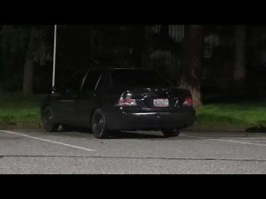 Car sex 3