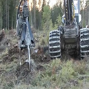 3.1K views · 18 reactions | Dangerous Monster Stump Destroy Equipment Working, | Machines Channel | Facebook