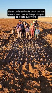 34 reactions | Many smiling faces with enough dove meat to last them a good long while! Nothing ever goes to waste in Africa! Hunt@baylysippelsafaris.co.za #baylysippelsafaris #huntbaylysippel #hunting #huntingsouthafrica #southafricahunting #africahunting #huntafrica #hunt #jag #jagd #jakt #caza #chasse #hunter #safari #jagter #bowhunting #bowhunt #archery #bowhunter #outdoors #biggame #wingshooting #birdhunting #birddog #birdhunting | Bayly Sippel Hunting Safaris | Facebook
