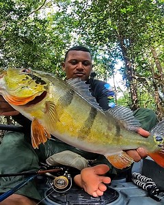 Entrei na mata alagada e tive uma surpresa. #pesca #pescaria #fishing | Pantanal Fishing