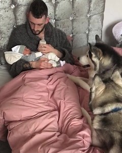 Simplesmente amor 😍 By: Milperthusky | De tudo um pouco.