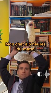 Votre chat aussi miaule la nuit ? 😅 Lisez notre article sur les miaulements nocturnes 🙂 https://educhateur.com/chat-miaule-nuit/ | EDUCHATEUR - Comportement Félin