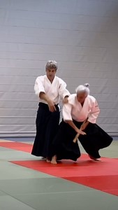 🥋extract Aikido Bruno Gonzalez seminar in Bestensee, Germany 2021 🇩🇪 Part 3 Working on kata Dori men uchi Kokyu nage ✔️Full video available on my YouTube channel soon 👆 link in the bio #aikido #aikidovideo #aikidoseminar #aikidotechnique #martialarts #martialartist #martialarts__videos #aikidoka #aikidoaikikai #aikidolife #aikidolifestyle #budo #educational #system #goodvibes #forall #berlin | Aikido-Bruno Gonzalez