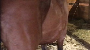 6.6K views · 914 reactions | Date night | Rosemary Farm | Facebook