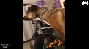 Scary Comp. V86 | Horror stories