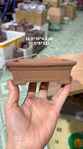 Chữ nhật mini 120k/1 cái phí ship (2 cái bao ship) | Bonsai Nguyen Ha
