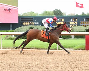 Caliente Star shines bright in the 47th Running of the Rainbow Miss Stakes with Francisco Arrieta up for trainer Tammy Hornsby and Owner Jama Lopez. 🌠🏆🏇🏻 | Oaklawn Hot Springs