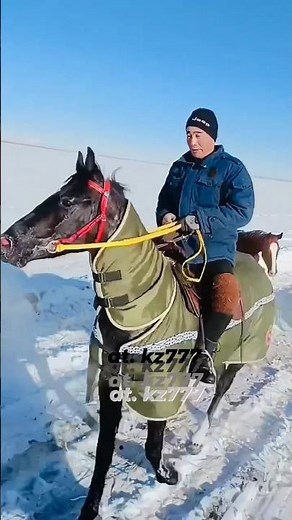 ат бәйге🏇 #аттар #horse #лошадь #at #жылқы #байге #shorts #kg #kz #аламан#көкпар#kokpar #ات #uz #ат