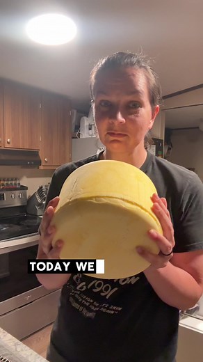 Cheddar Cheese Making: From Fresh Milk to Aged Wheel