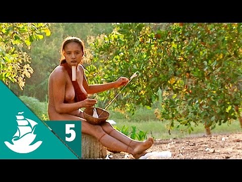 Al final del Amazonas (parte 5/5)