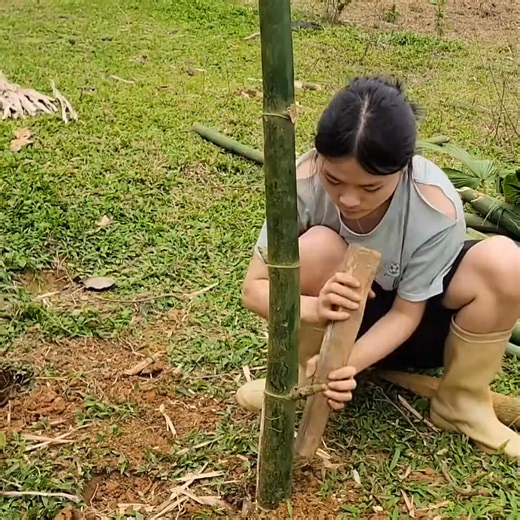 18 year old girl makes her own bamboo bathroom life alone in the deep forestLý Thanh Mai | Wilderness Life | Facebook