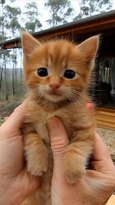 Goofy Instincts | Life Bites Gallery | Facebook