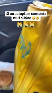 227K views · 3K reactions | Mai asteptati putin ! #viralchallenge #viral #boxing #Christmas #viralreelsシ | Maike Valentin Cioaca | Facebook