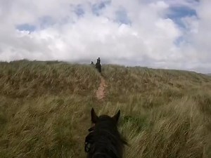 Cumbrian Heavy Horses on Reels