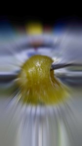 5.8K views · 93 reactions | #fullspectrum #drybiomass #hashrosin | Terpy Dave Dauphin | Facebook