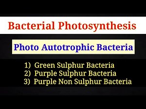 Bacterial Photosynthesis ( Photosynthesis In Bacteria ) | Lec. 34 | Plant Physiology