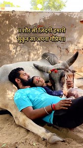 114K views · 1.6K reactions | Meri pyari tipu連連連連 [ cow, aesthetic,...