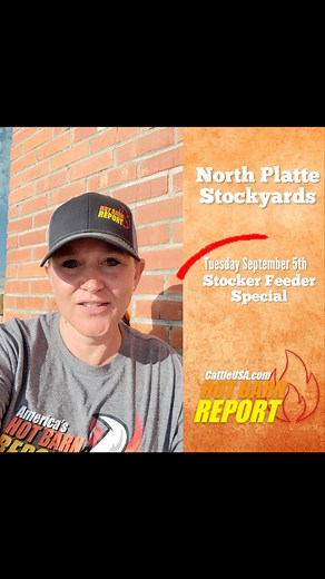 Fletch with an HBR Update from North Platte Stockyards Tuesday September 5th on CattleUSA.com  Stocker Feeder Special www.northplattestockyards.com for more info #hotbarnreport #cattleusa #diamonddozen #truepricediscovery #usabeef #salebarn #cattle #sellatauction #Livestock | Hot Barn Report | Facebook