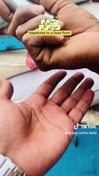 Goat & Cattle Feed Ingredients #dubaicommissionshop #animal #feed #cowmandi #2024 #faisalabad #punjab