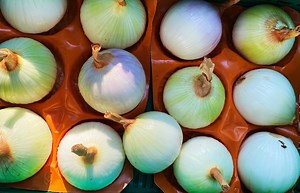 How to Grow Sweet Onions: Growth and Care Guide