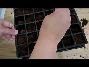 How to set up BURPEE Self-Watering seed starting system 36 cell