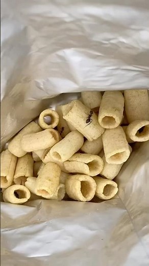 🍇🍇🍒🍒Bushcraft Skills: Simple But Very\rUseful#survival #bushcraft\r#camping\r#shorts\r#food