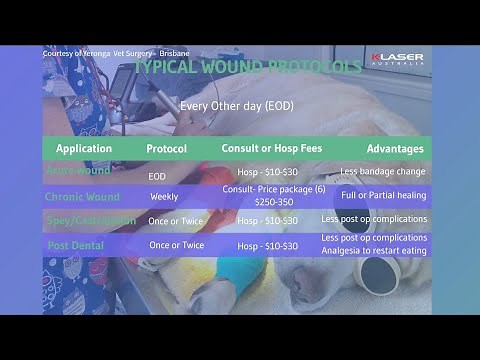 K-LASER- Class IV Laser Therapy In Veterinary General Practice Protocols & Applications