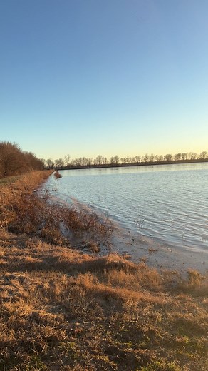 Rice fields at sunset is hard to beat Ducks Unlimited Sydnie Wells | Barstool Outdoors