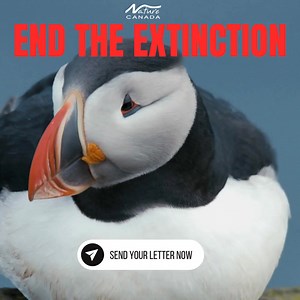 22K views · 1.3K reactions | Be a Voice for Nature. | Nature Canada | Facebook