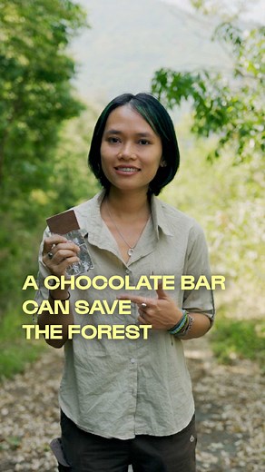 Chocolate Forest: A Conservation Project at Chu Yang Sin National Park