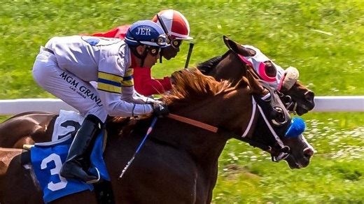 Deadline approaching for horse racing Humboldt County fair urges community to speak up