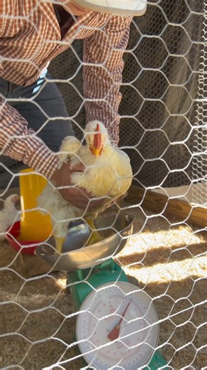 1.2K views · 18 reactions | We're saying "Adios" to Poverty and...