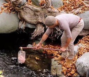 79K views · 309 reactions | ¡Trucos de pesca eficaces que no te dejarán sin captura! | Ideas en 5 minutos Chicos | Facebook