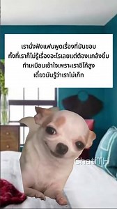 ฟังไปงั้นไม่ทราบอะไรสักอย่าง #chati #แอปหาคู่2026