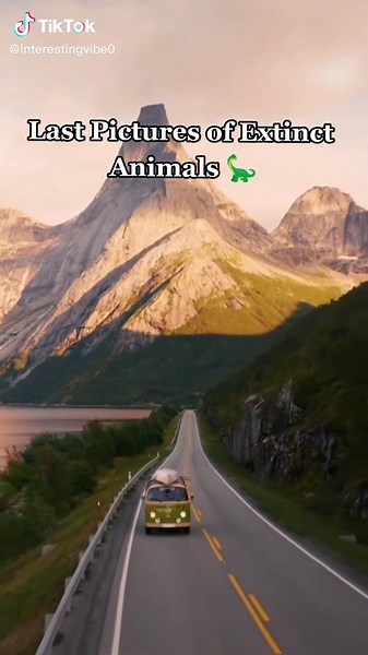 sad #fyp #foryou #sad #let_it_vibe_