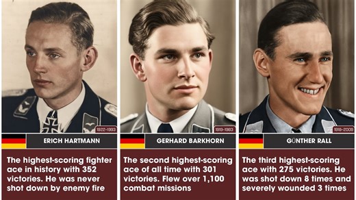 Top 50 Luftwaffe Aces of WWII — The Ultimate Countdown