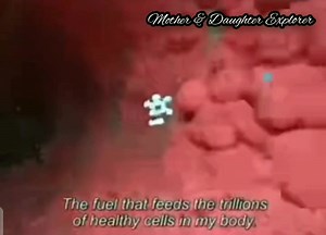 13 shares · 4 comments | The Power of Fasting It makes phisically & mentally stronger #fastingbenefits #fasting #health #videomonetization #adsmonitazation | Mother & Daughter Explorer | Facebook