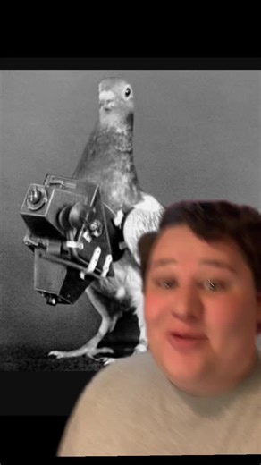 WHAT HISTORY! on TikTok